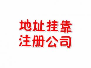 禪城注冊公司與佛山代理記賬代辦服務全攻略